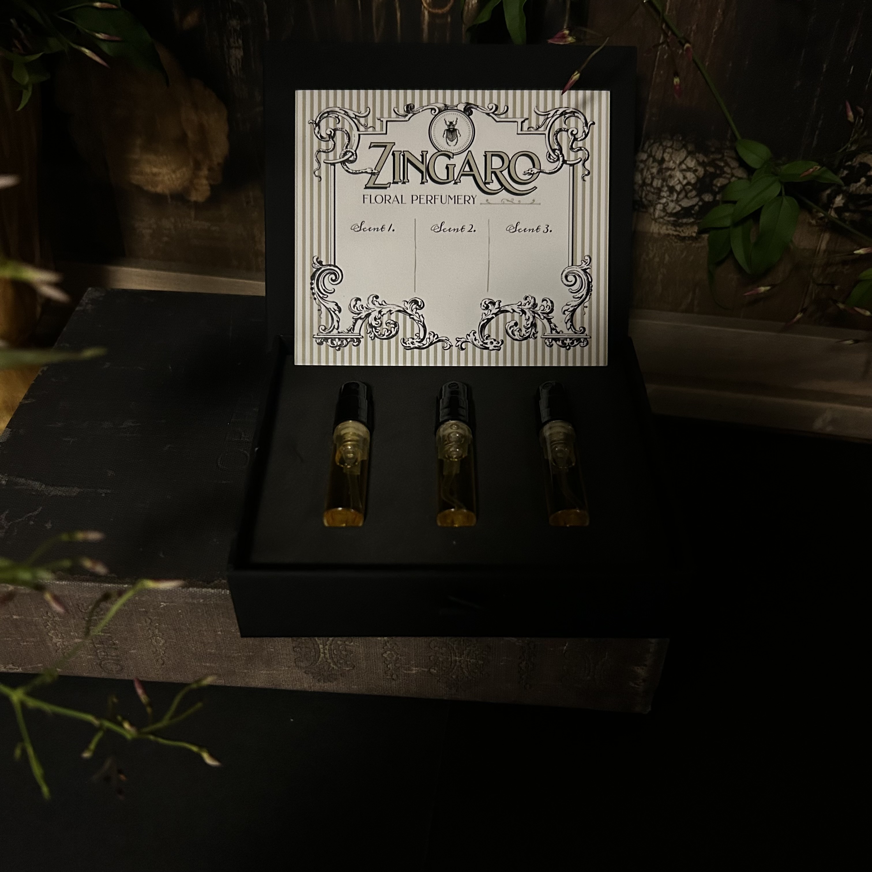 Zingaro Discovery Set — three parfum samples, held open